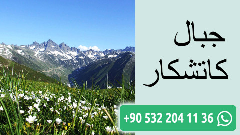 منتزه جبال كاتشكار الوطني